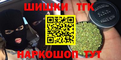 шишки Абакан