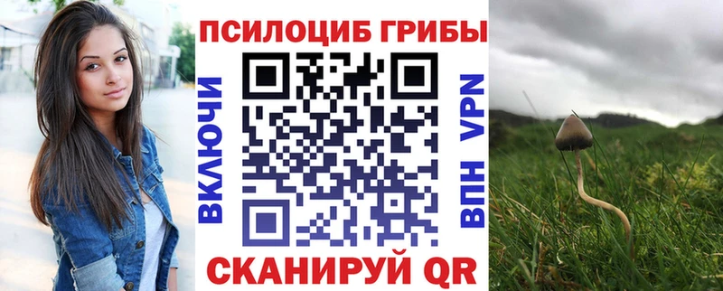 Псилоцибиновые грибы Magic Shrooms  где можно купить   Рыбинск 
