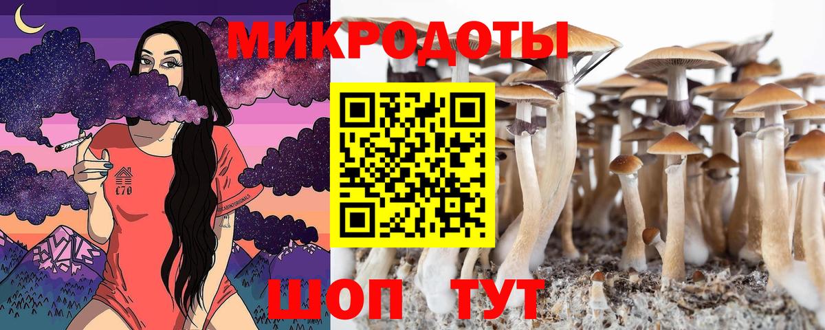 Псилоцибиновые грибы Cubensis Рыбинск