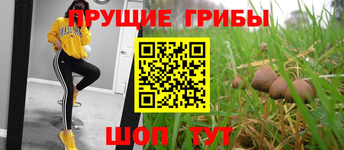 Псилоцибиновые грибы мухоморы  где продают   Псилоцибиновые грибы Cubensis  Рыбинск 