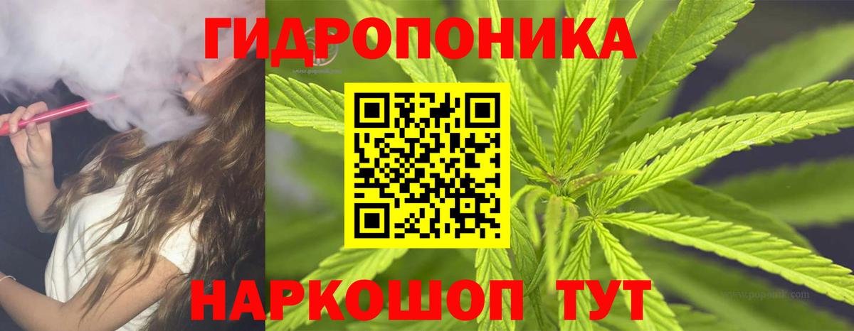 Рыбинск  Каннабис план  Вход с VPN  Бошки марихуана семена  Каннабис VHQ  Каннабис конопля 